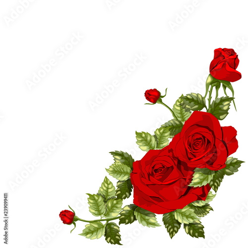 Rose rosse