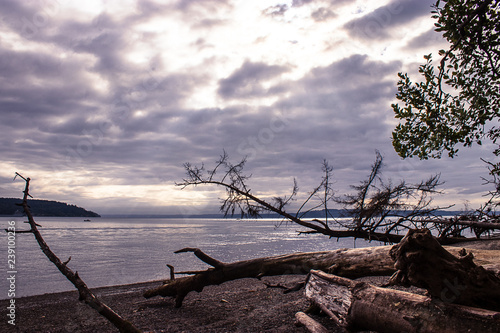 blue storm clouds over the water of puget sound at dawn