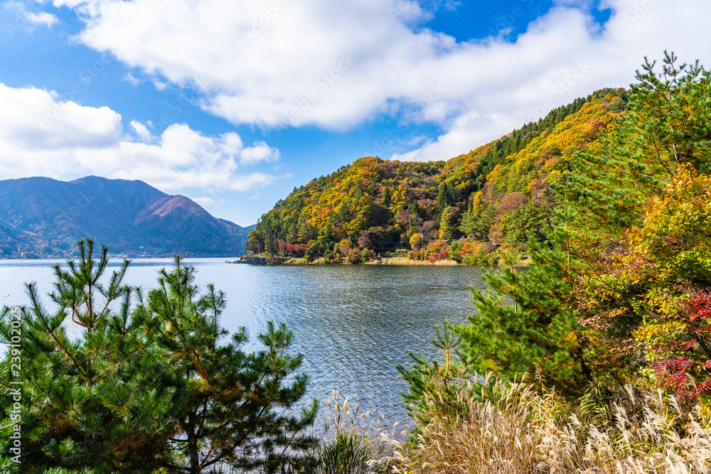 Beautiful landscape around lake kawaguchiko in Yamanashi Japan