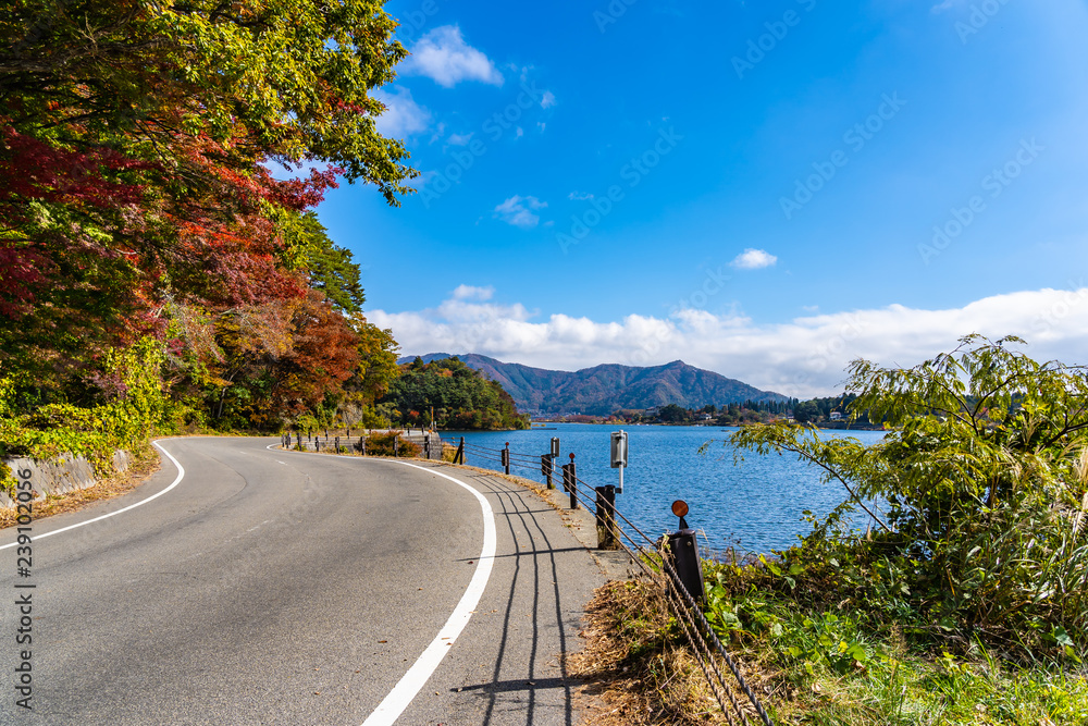 Obraz premium Beautiful landscape road side around lake kawaguchiko