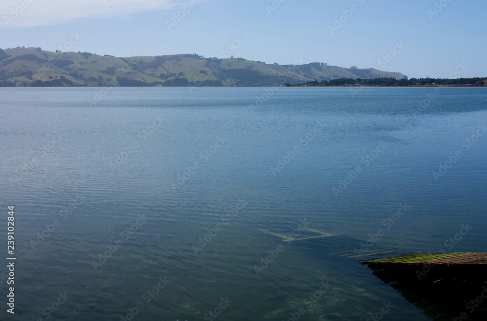 A collapsed wooden pier in Otago Penninsula near Dunedin in the South Island in New Zealand