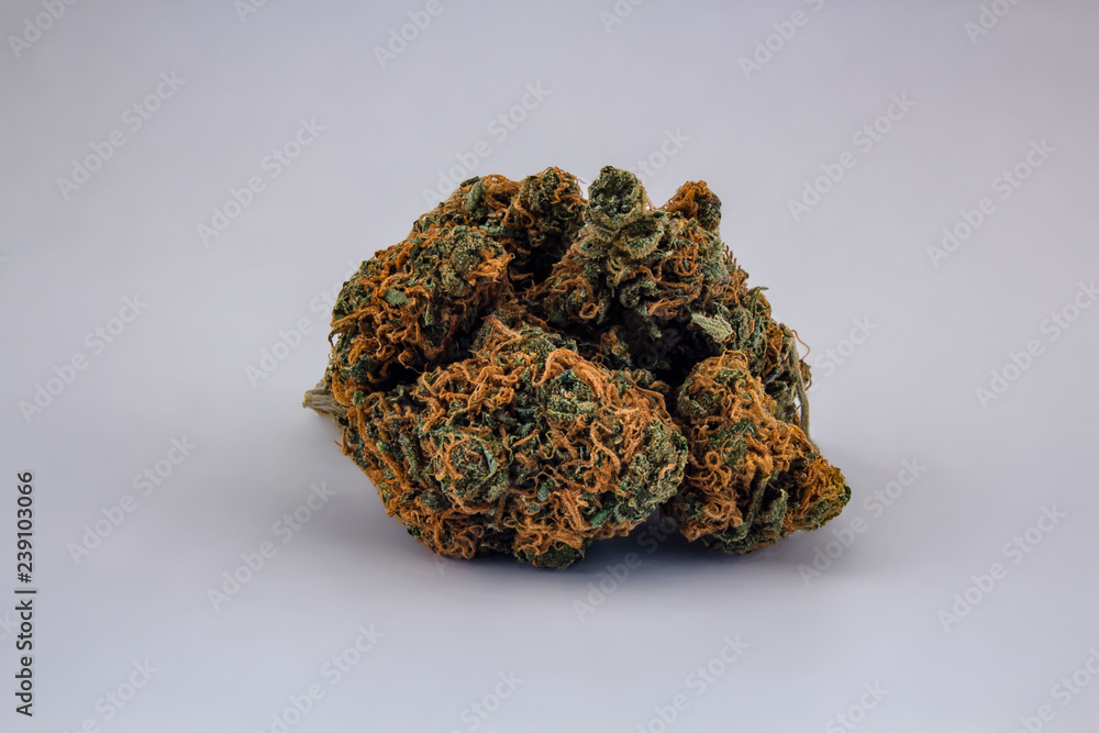 A pile of Cheese OG marijuana buds in the shape of a ball isolated with a white background as a product shot.