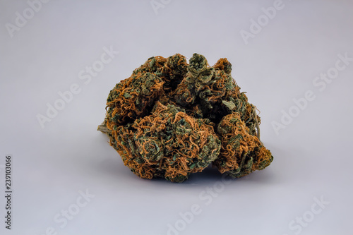 Obraz na płótnie A pile of Cheese OG marijuana buds in the shape of a ball isolated with a white background as a product shot. w salonie