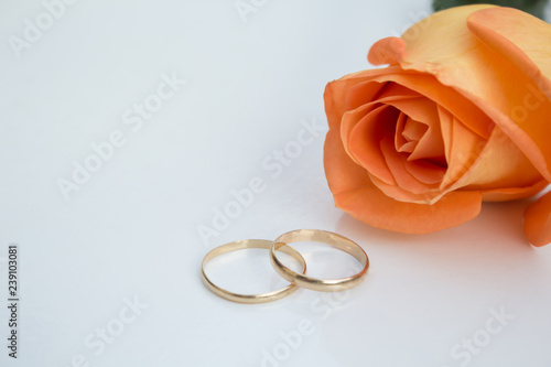 Wedding rings with orange rose, on white background.