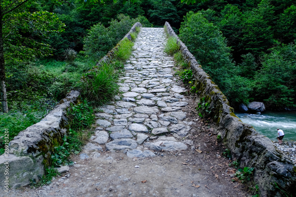 Obraz premium Old stone bridge