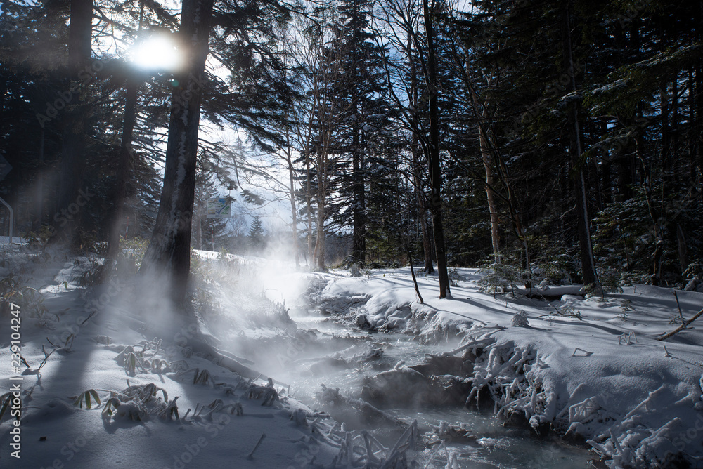 Naklejka premium 温泉が流れる川