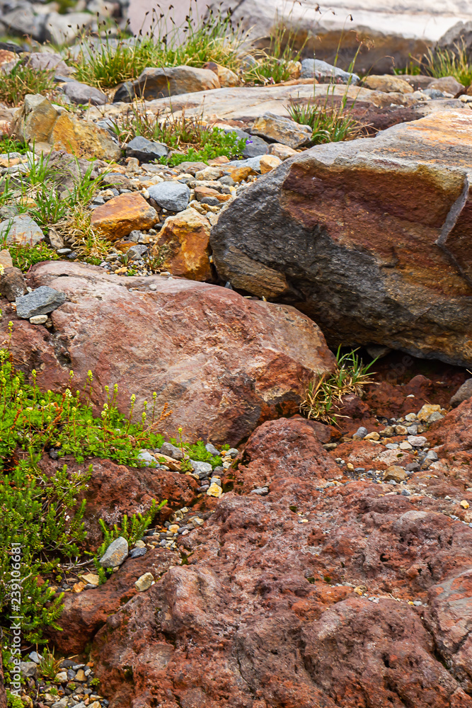 vertical harsh volcanic stone in field of stones left from glacial melt vertical harsh volcanic stone in field of stones left from glacial melt