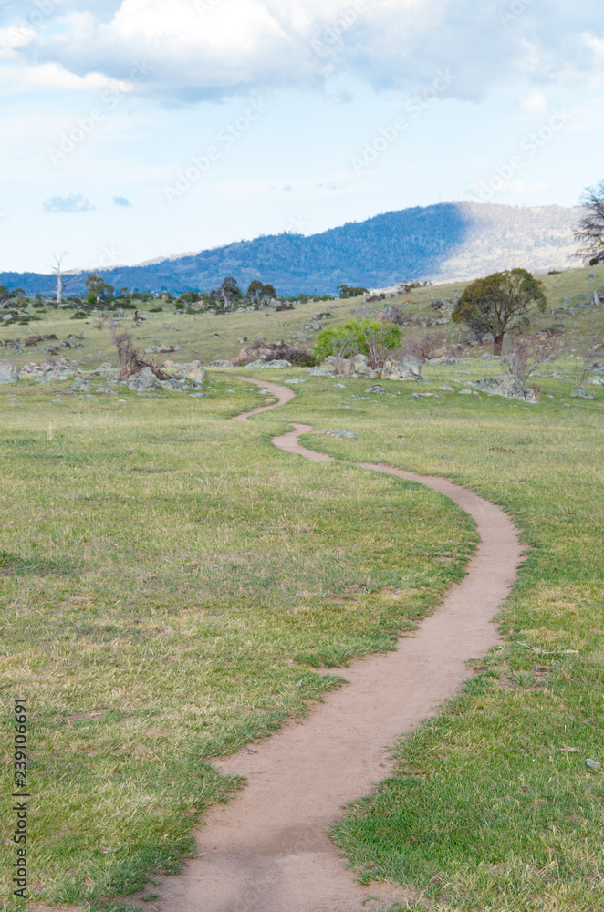Winding Dirt Paths