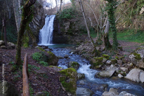 waterfall in forest