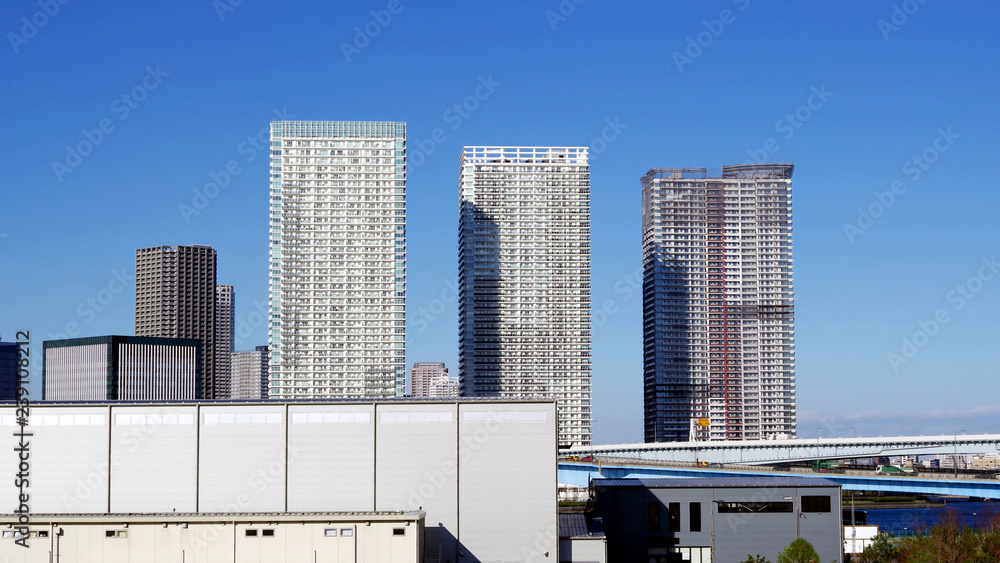 Obraz premium 東京ベイエリアの都市景観