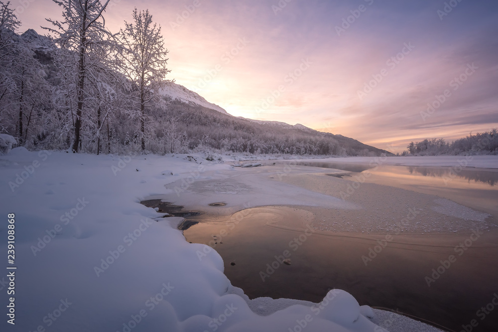 Obraz premium Winter is here