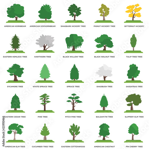 Simple Set of 25 Vector Icon. Contains such Icons as Sassafras tree, Eastern Cottonwood Cucumber Tree Sycamore Spruce tree. Editable Stroke pixel perfect