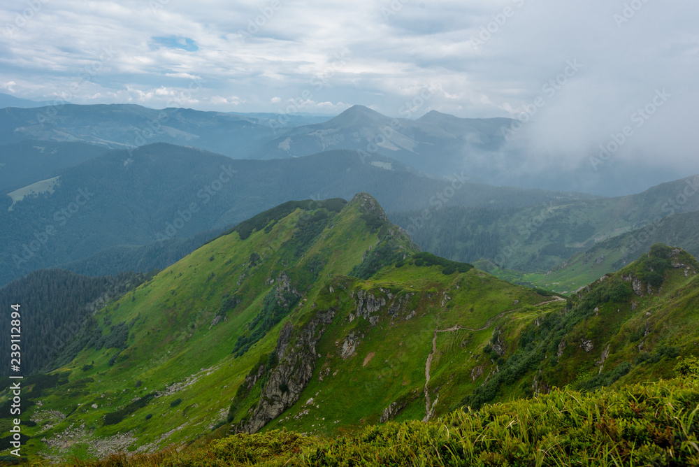 Scenic view of Carpathian mountains hills on sunny day