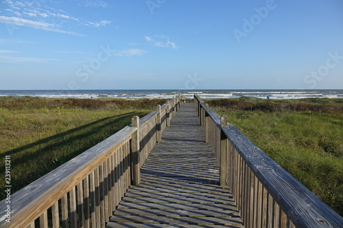 boardwalk to the beach © Steven Moab