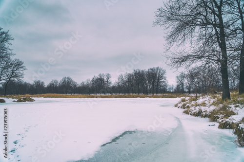 Wallpaper Mural Frozen river and forest in the distance. Winter landscape Torontodigital.ca