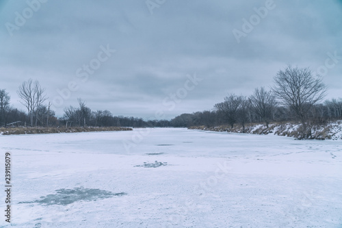 Wallpaper Mural Frozen river and forest in the distance. Winter landscape Torontodigital.ca