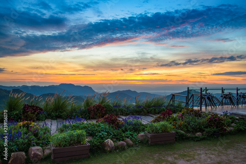 beautiful sunrise colorful sky cloud landscape garden on mountain flower and plant pathway