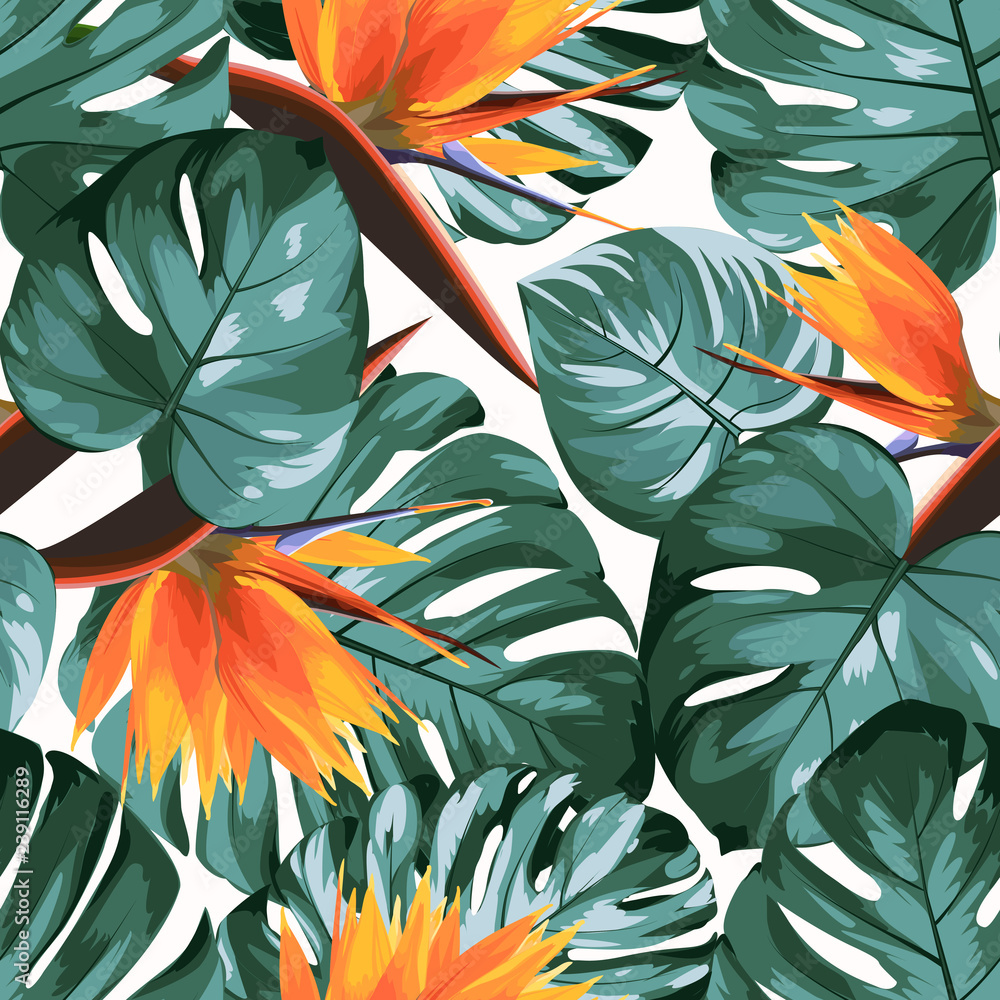 poke plant Seed Pack main image 0