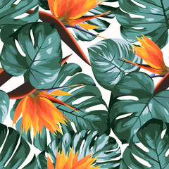 Fototapete Tropische Paradiesblumen-Muster Monstera Philodendron mit Strelitzia Blüten  © imaginarybo