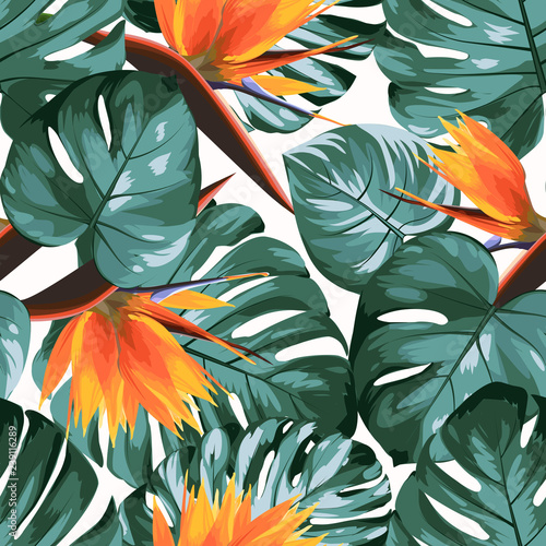 Tropical greenery philodendron monstera jungle rainforest tree leaves. Bright orange strelitzia bird of paradise flowers. Exotic seamless pattern white background. Vector design illustration.