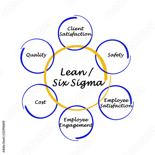  Lean / Six Sigma.