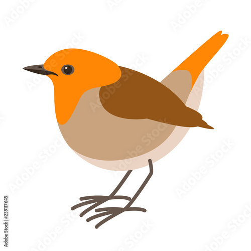 robin bird ,vector illustration , flat style