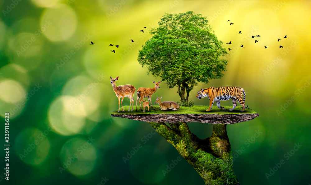 Concept Nature reserve conserve Wildlife reserve tiger Deer Global warming  Food Loaf Ecology Human hands protecting the wild and wild animals tigers  deer, trees in the hands green background Sun light Stock