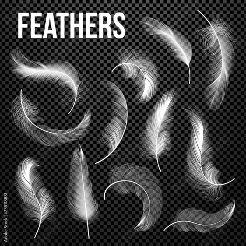 Feathers Set Vector. Different Falling White Fluffy Twirled Feathers. Feather Bird, Soft White Plume Design. Insomnia, Healthy Sleep, Dreams Concept. Isolated Transparent Realistic Illustration