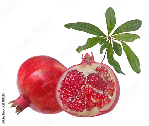 Pomegranate fruit and twig  isolated on white background photo