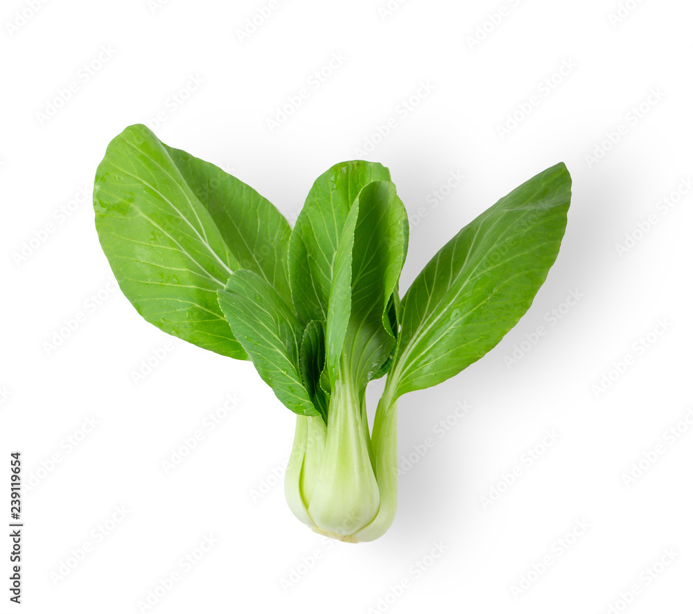 Bok choy vegetable isolated on the white background. top view - obrazy, fototapety, plakaty 