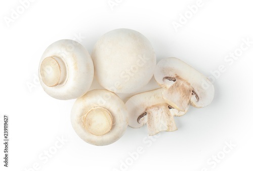 Mushroom champignon isolated on white background.top view