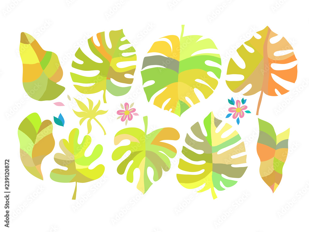 Fototapeta premium Set of tropical flowers3