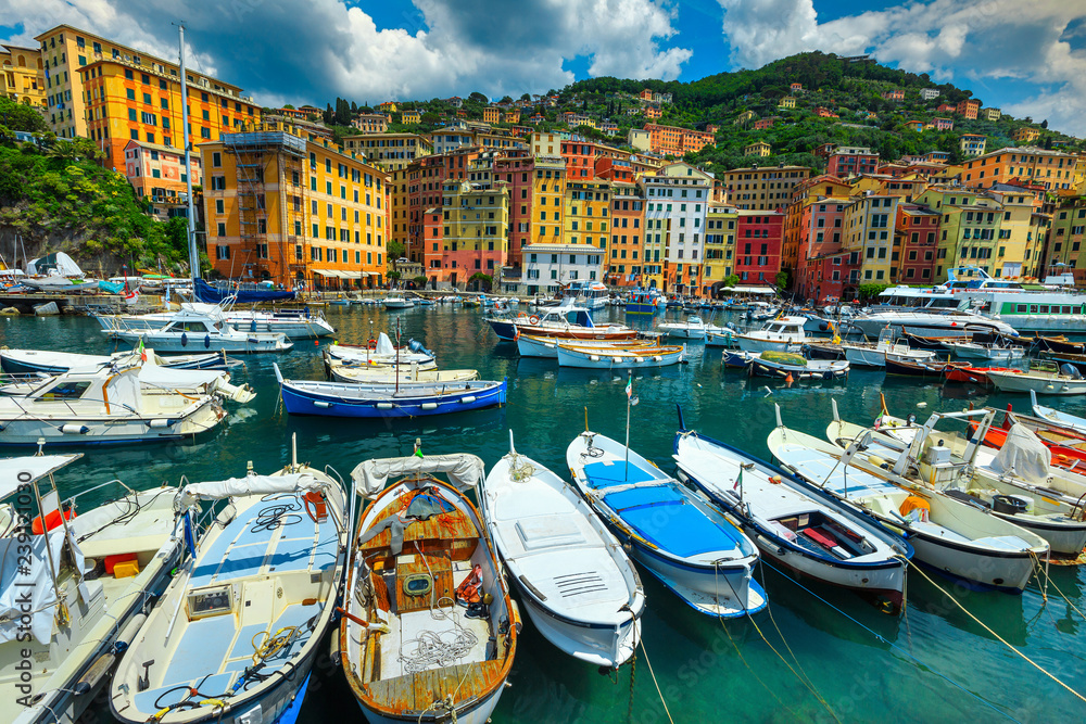 Mediterranean harbor with luxury yachts, Camogli resort, Liguria, Italy, Europe