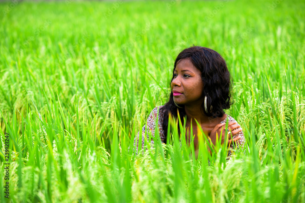 portrait of young beautiful and happy black African American woman isolated in the middle of rice field enjoying exotic holidays trip in Asia exploring traditional village portrait of young beautiful and happy black African American woman isolated in the middle of rice field enjoying exotic holidays trip in Asia exploring traditional village