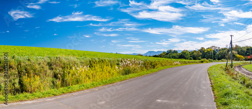 北海道 美瑛町 農道