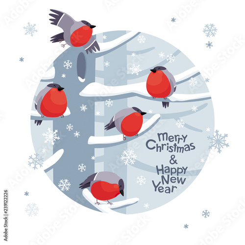Funny Christmas Bullfinches vector image