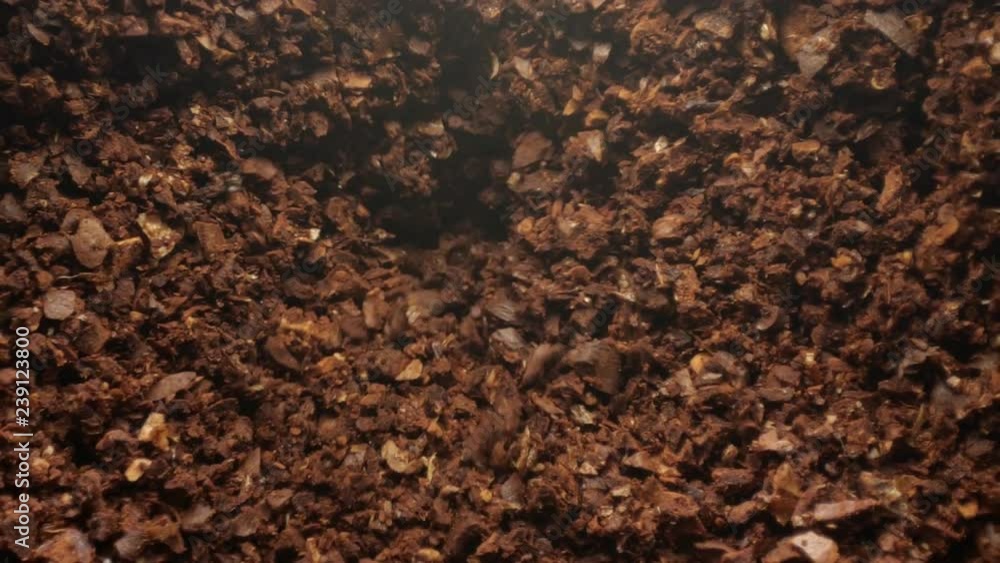 Electric coffee grinder works. Slow motion. High angle view.
Electric coffee grinder works. Slow motion. High angle view.
