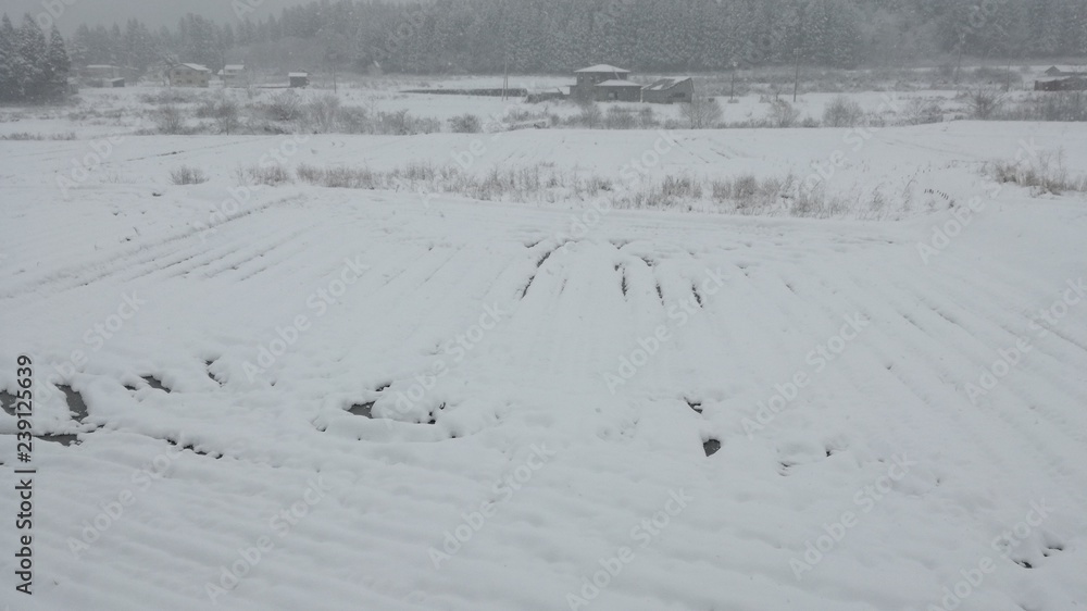 雪景色 雪景色