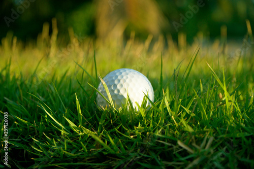 golf ball on green grass in beautiful golf course with sunset. Golf ball close up in golf coures at Thailand