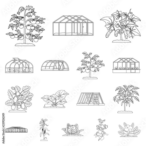 Isolated object of greenhouse and plant symbol. Collection of greenhouse and garden stock vector illustration.