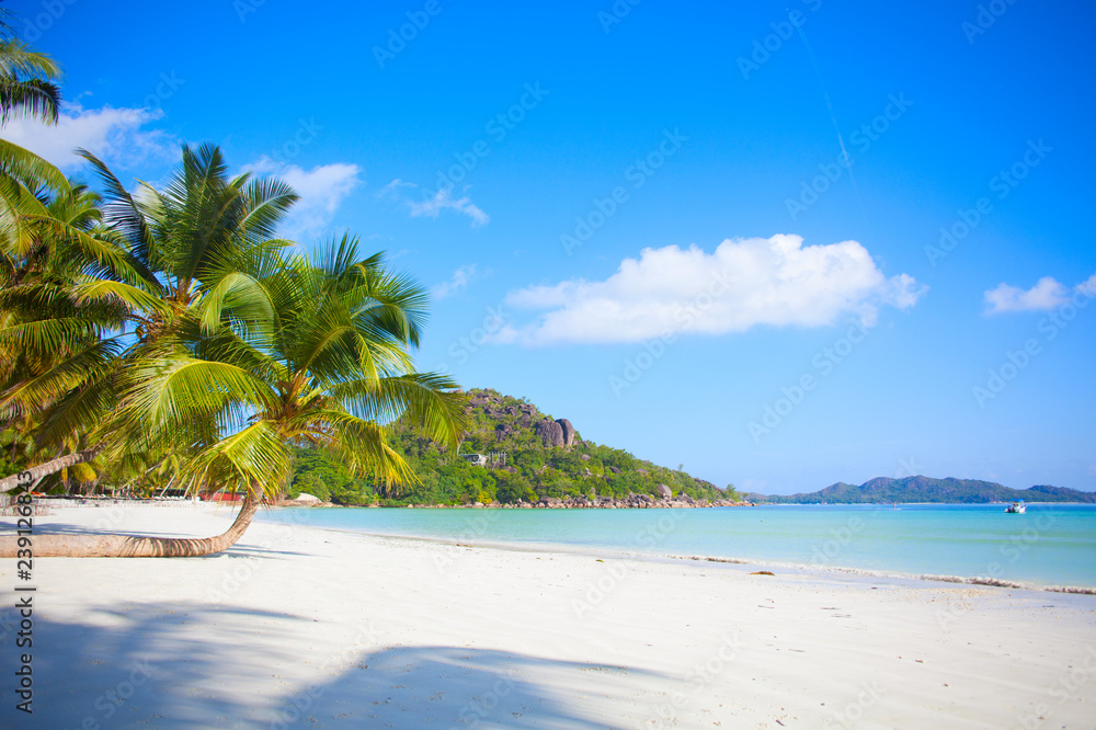 Seychelles beach paradise 