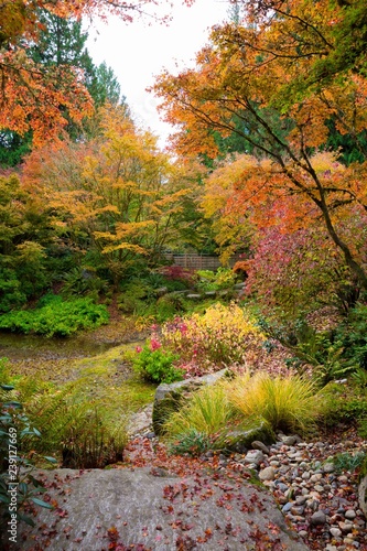 Botanical garden in Seattle/Bellevue