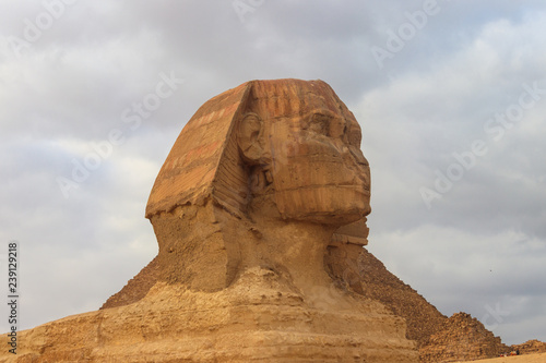 Close-up of Great Sphinx of Giza in Cairo  Egypt