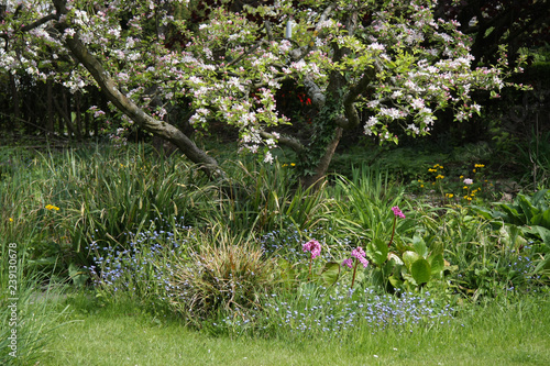 Frühling im Naturgarten