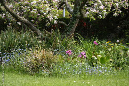 Frühling im Naturgarten