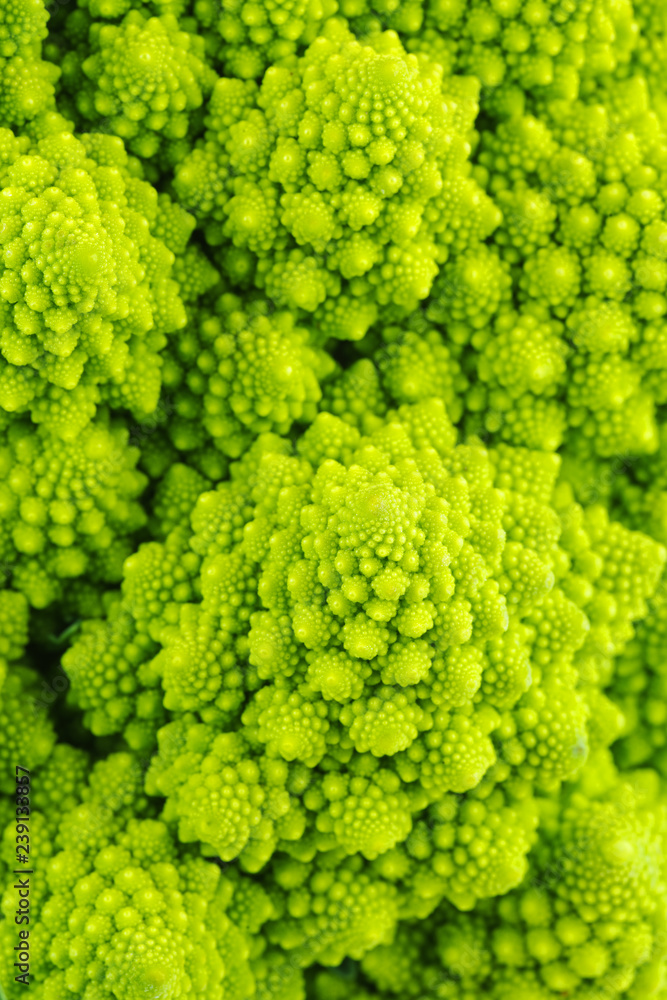 Fresh romanesco cauliflower macro. Shallow DOF. Focus point - center part of image Fresh romanesco cauliflower macro. Shallow DOF. Focus point - center part of image