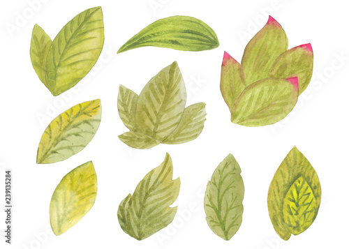 Set of watercolor green leaves © yagurana