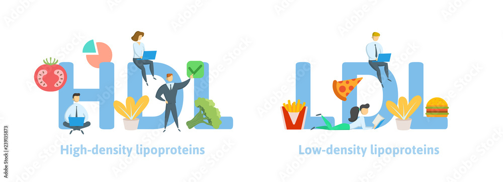 HDL and LDL banner ideas. Concept with keywords, letters, food, and icons. Colored flat vector illustration. Isolated on white background.