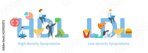 HDL and LDL banner ideas. Concept with keywords, letters, food, and icons. Colored flat vector illustration. Isolated on white background.