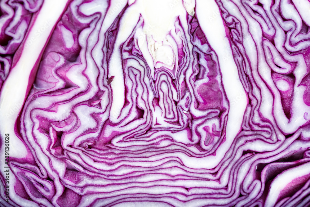 Obraz premium purple cabbage as background